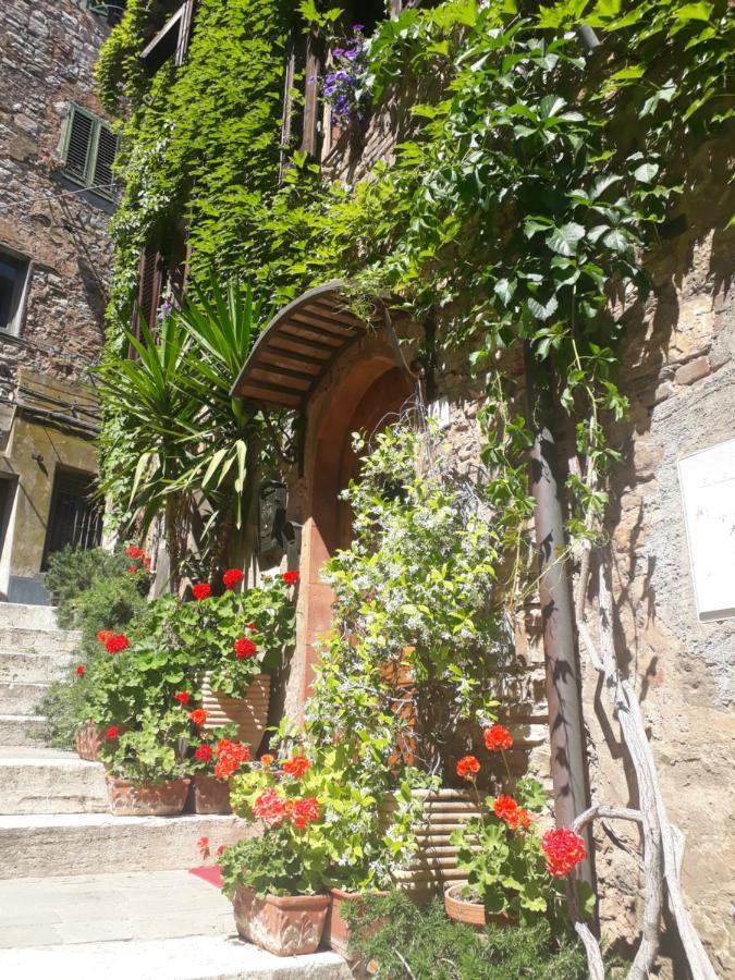 La Piazzetta Toscana B&B Кампилия Маритима Екстериор снимка